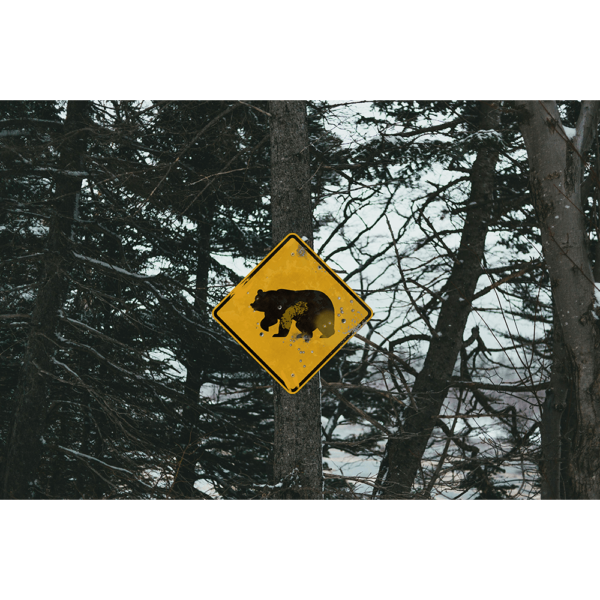 A yellow and black Bear Crossing Sign hung up on a tree in a snowy forest.