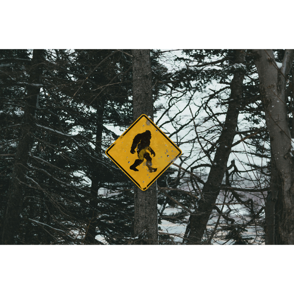 Bigfoot Crossing yellow sign hung up on a tree in a snowy forest.