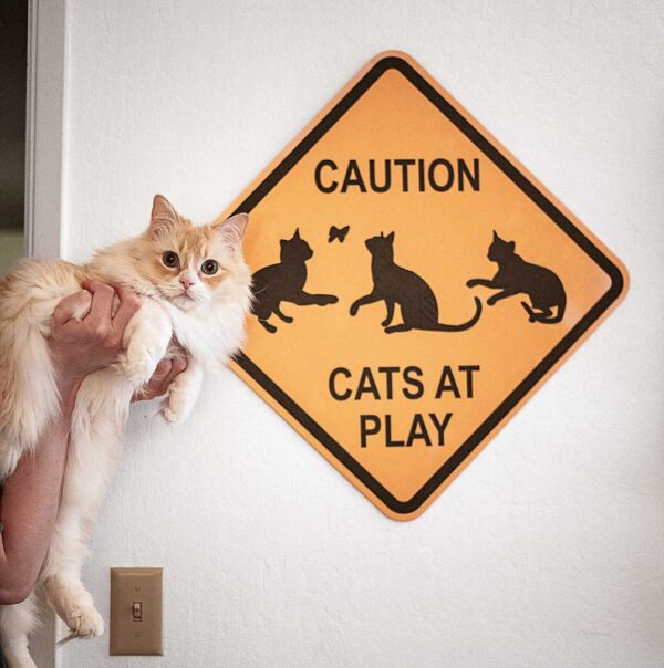 Unique Wall Décor - Cat in front of caution cats at play Sign