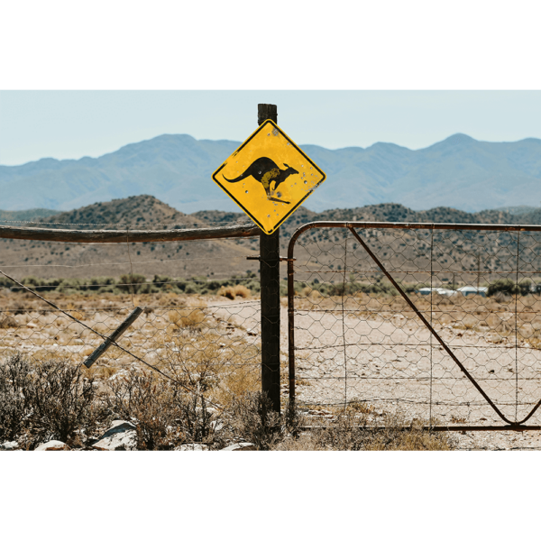 A Kangaroo Crossing Sign hung up on a fence in a desert.