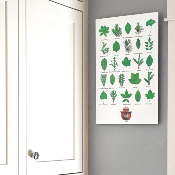 white and green rectangular sign with leaves in a modern kitchen