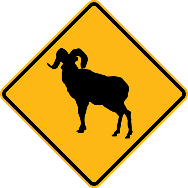 W11-18 Bighorn Sheep Sign