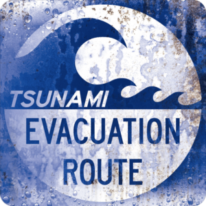 Tsunami Evacuation Street Sign