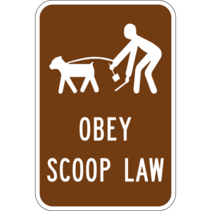 Obey Scoop Law