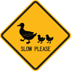 Slow Please Sign