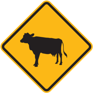 Cow Warning Sign