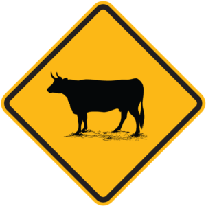 Bull Warning Sign