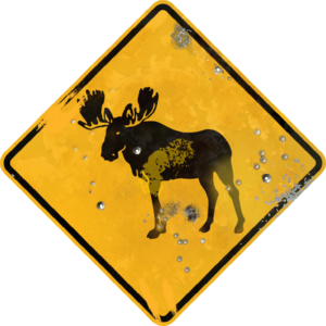 Street Sign with Moose Crossing symbol. Vintage looking sign with digitally printed bullet holes.