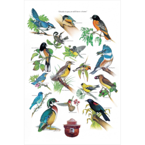 Smokey Bear Birds rectangular wall art with different species of birds.