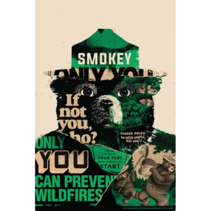 Smokey Bear Remix by Tes One rectangular sign.