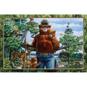 Smokey Says - Prevent Wildfires