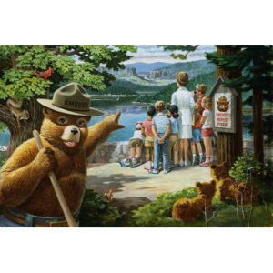 Horizontal Sign of Smokey bear Pointing at crowd.