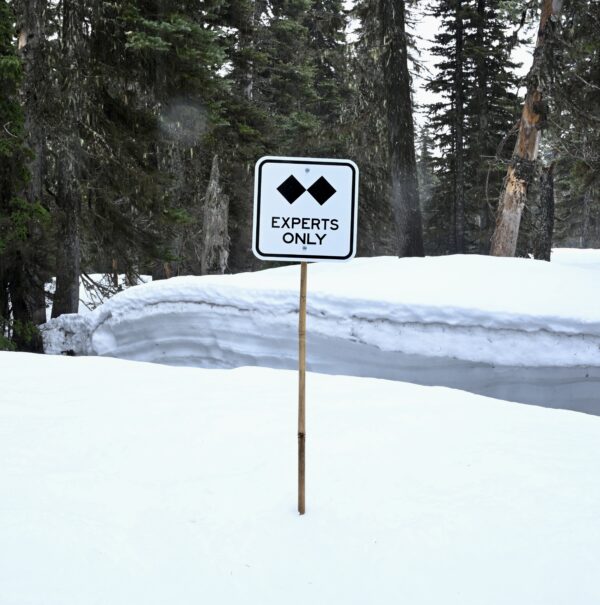 Aluminum expert only Sign in Snow