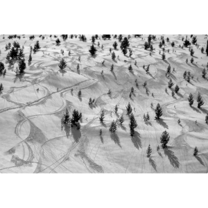 Black and white image of Baba Mountain with ski tracks and trees