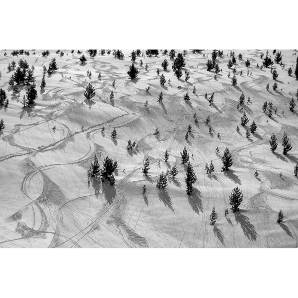 Black and white image of Baba Mountain with ski tracks and trees