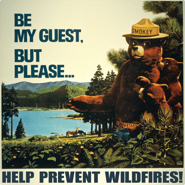 Smokey Bear in front of a lake with the text saying