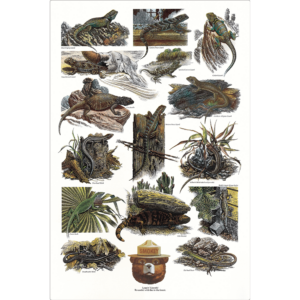 Smokey Bear's reptile poster with various kinds of reptiles.