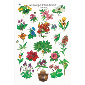 Smokey Bear Flowers - A smokey bear poster with various kinds of North American flowers.