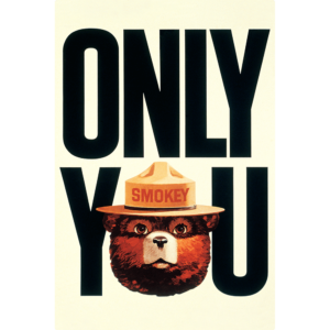 Smokey the Bear's Head in his iconic hat on a background that says